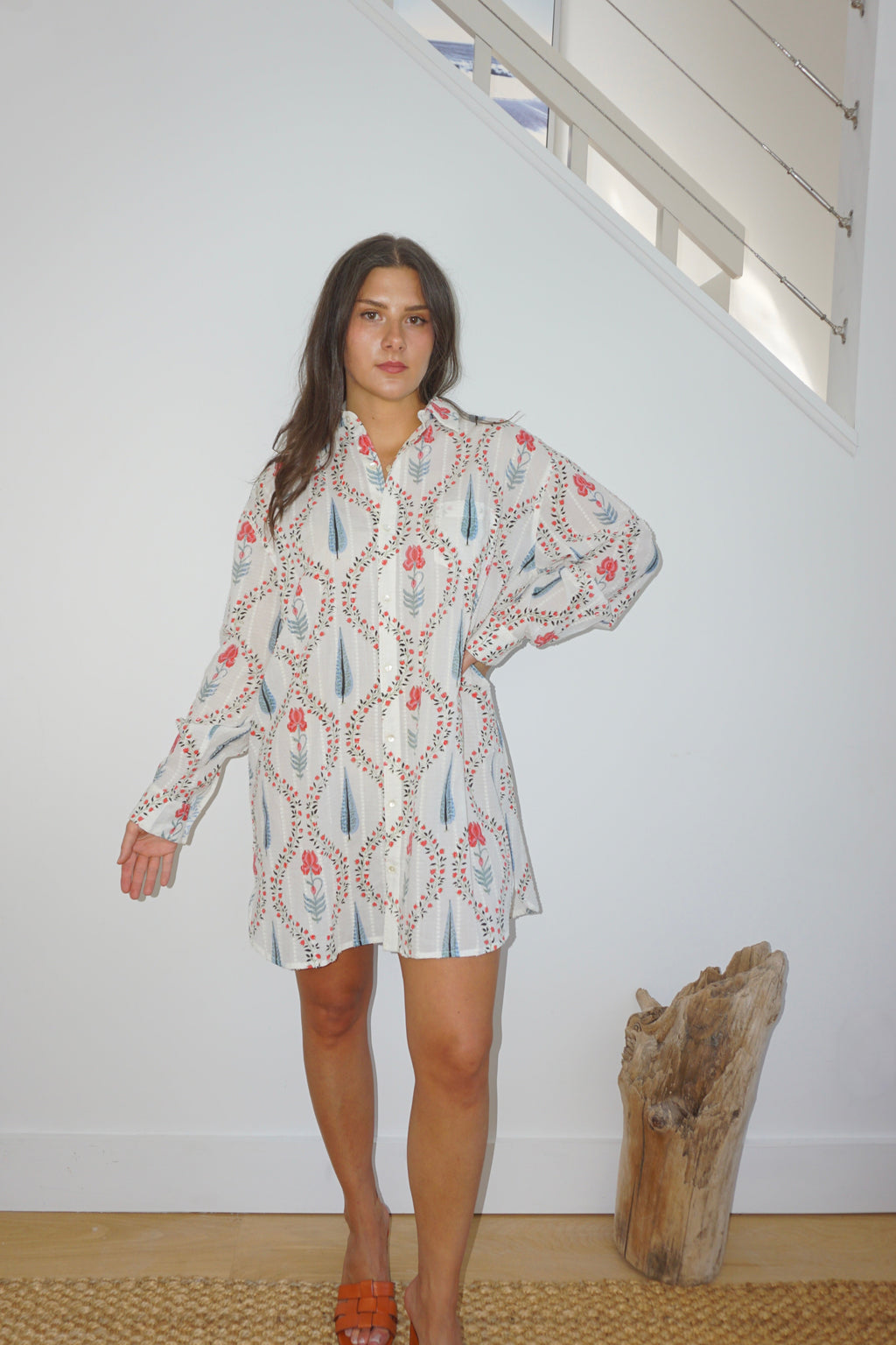 Clove Shirt Dress in Vinyard Floral