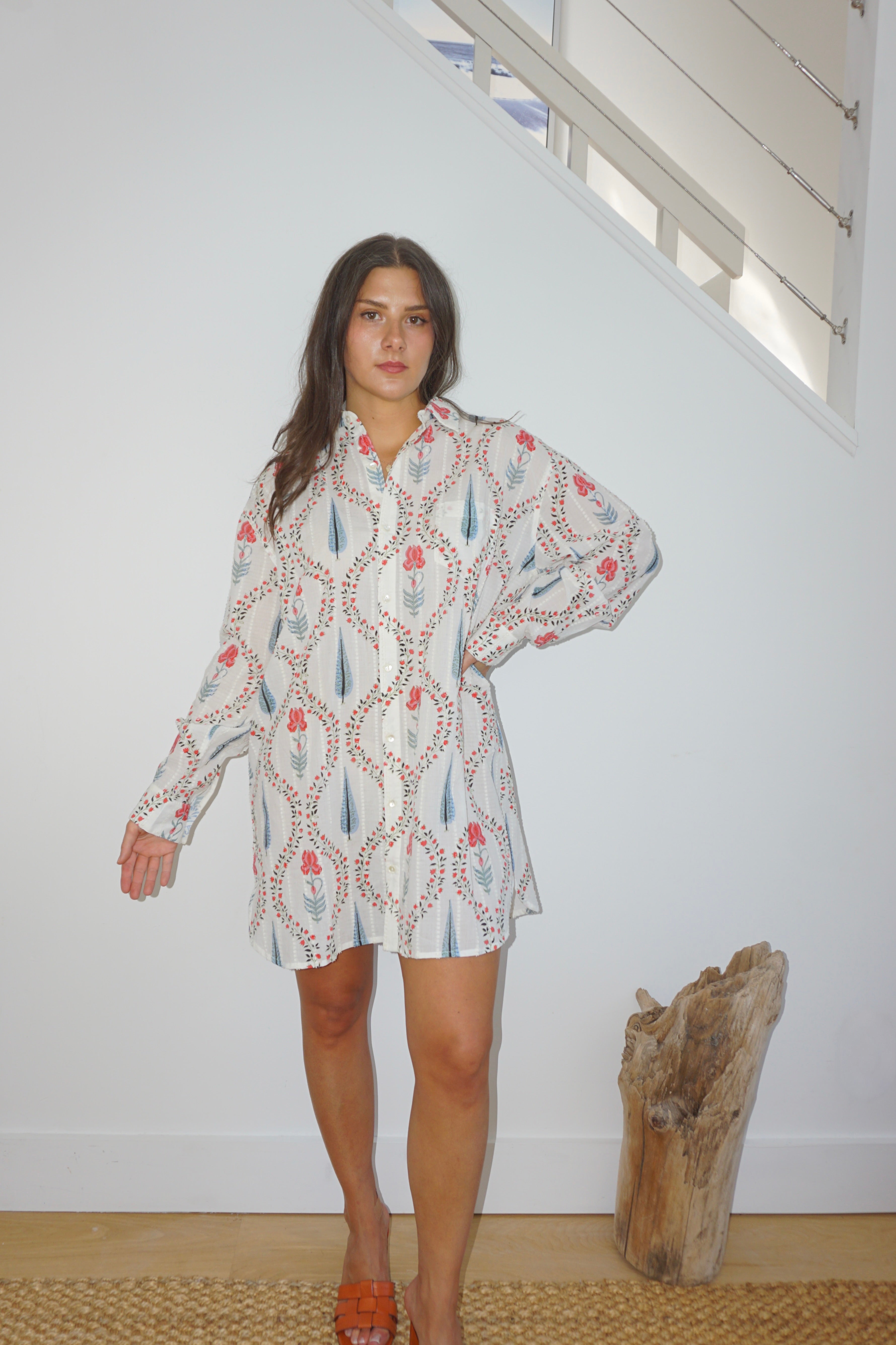 Clove Shirt Dress in Vinyard Floral