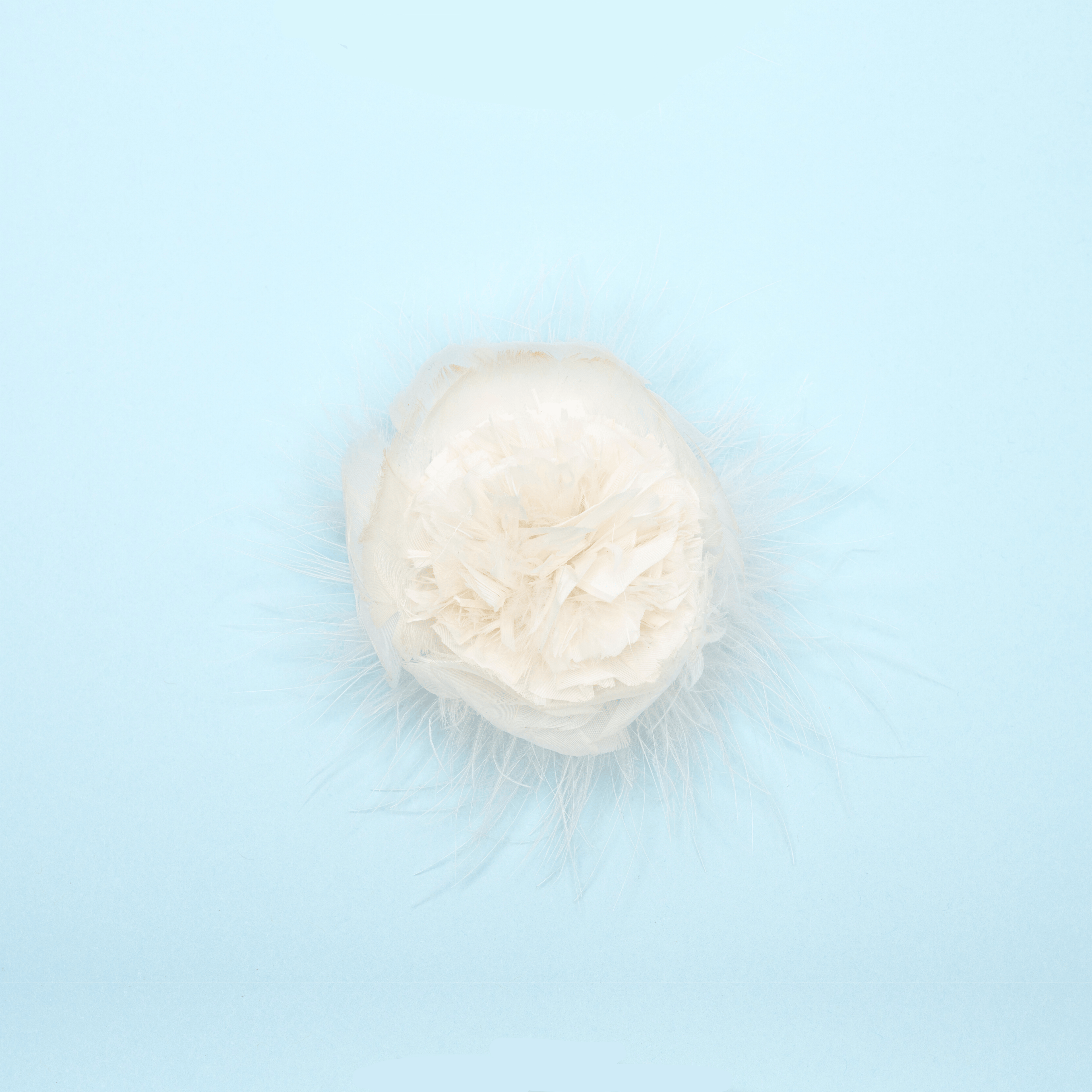 Carina Floret