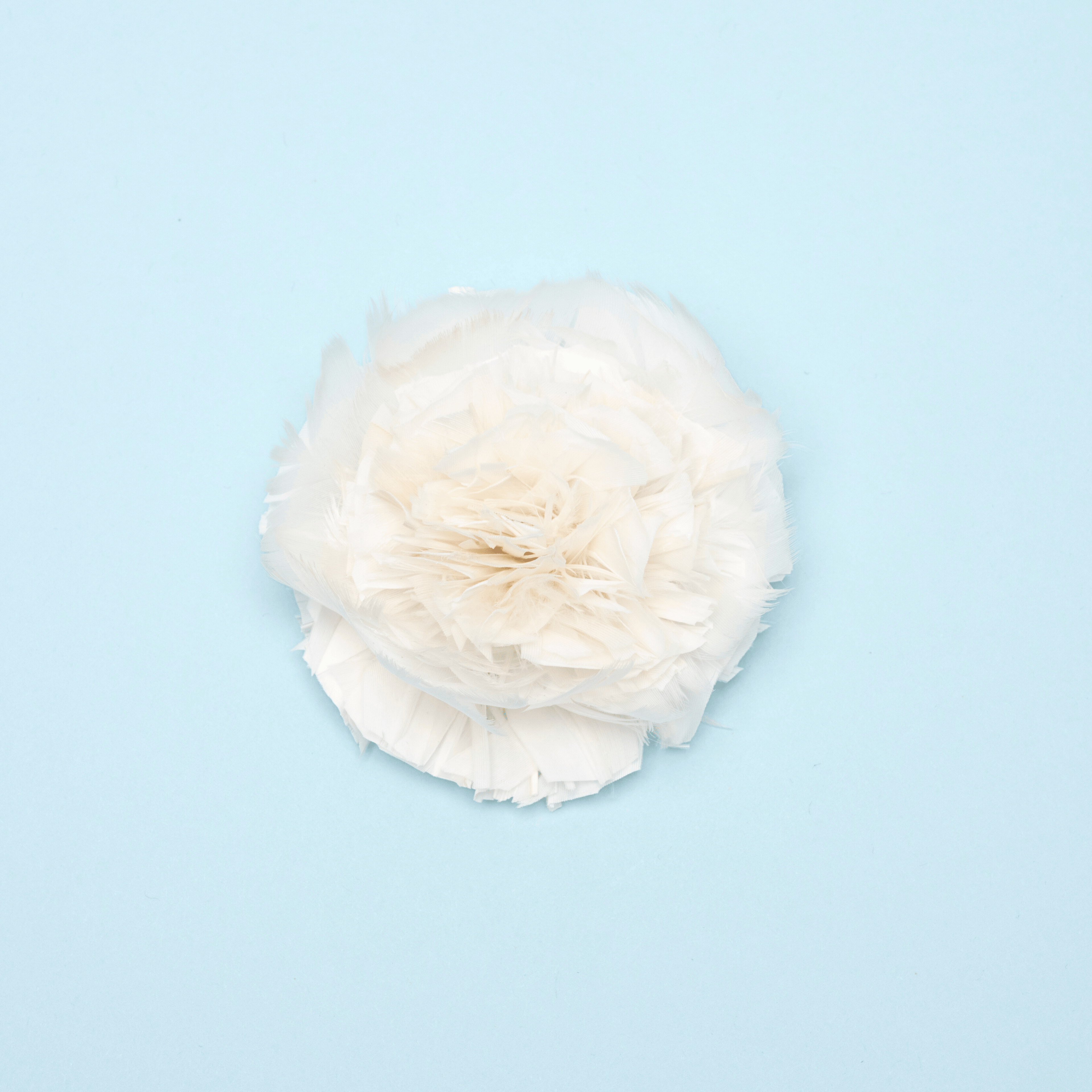 Chantelle Floret
