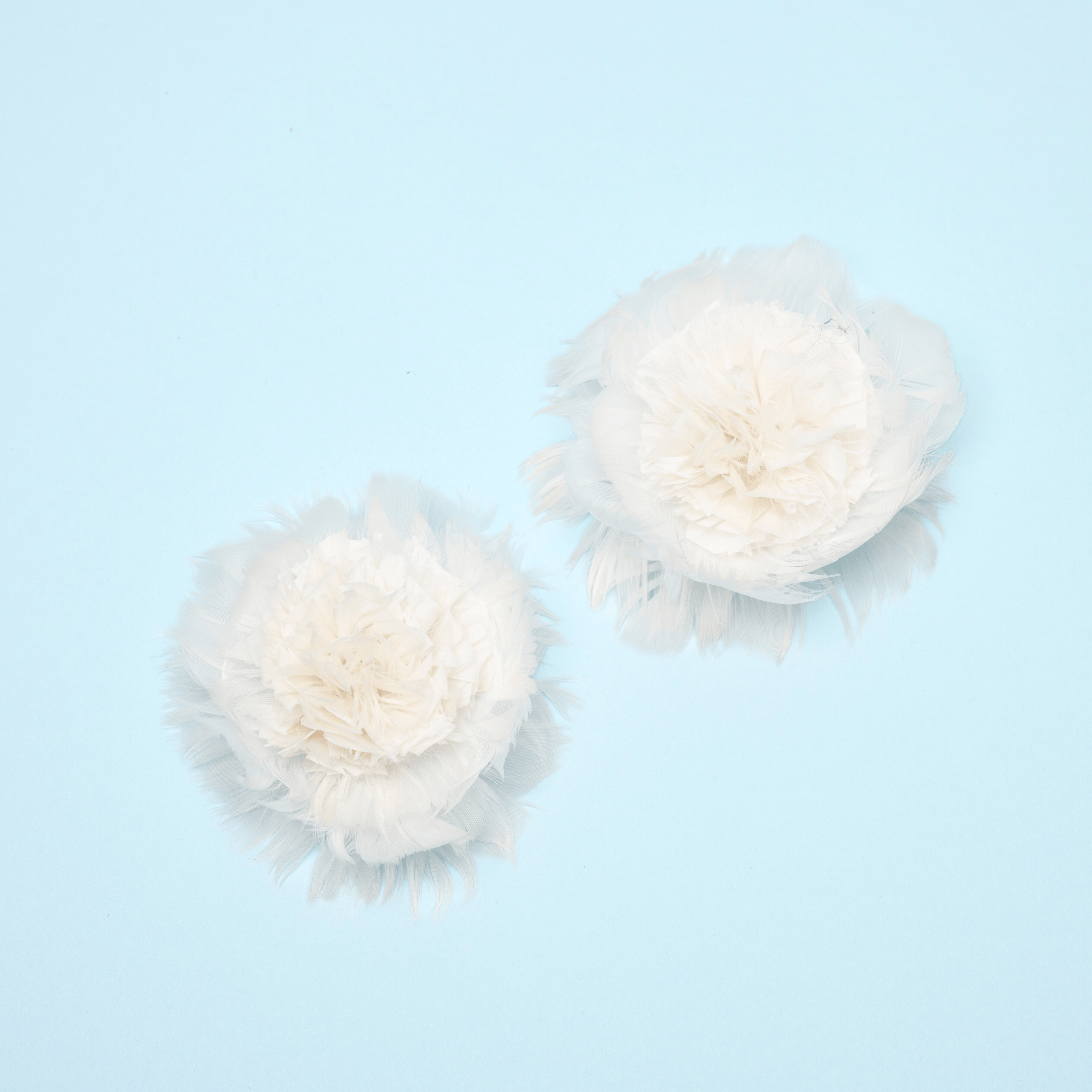 Cosima Floret