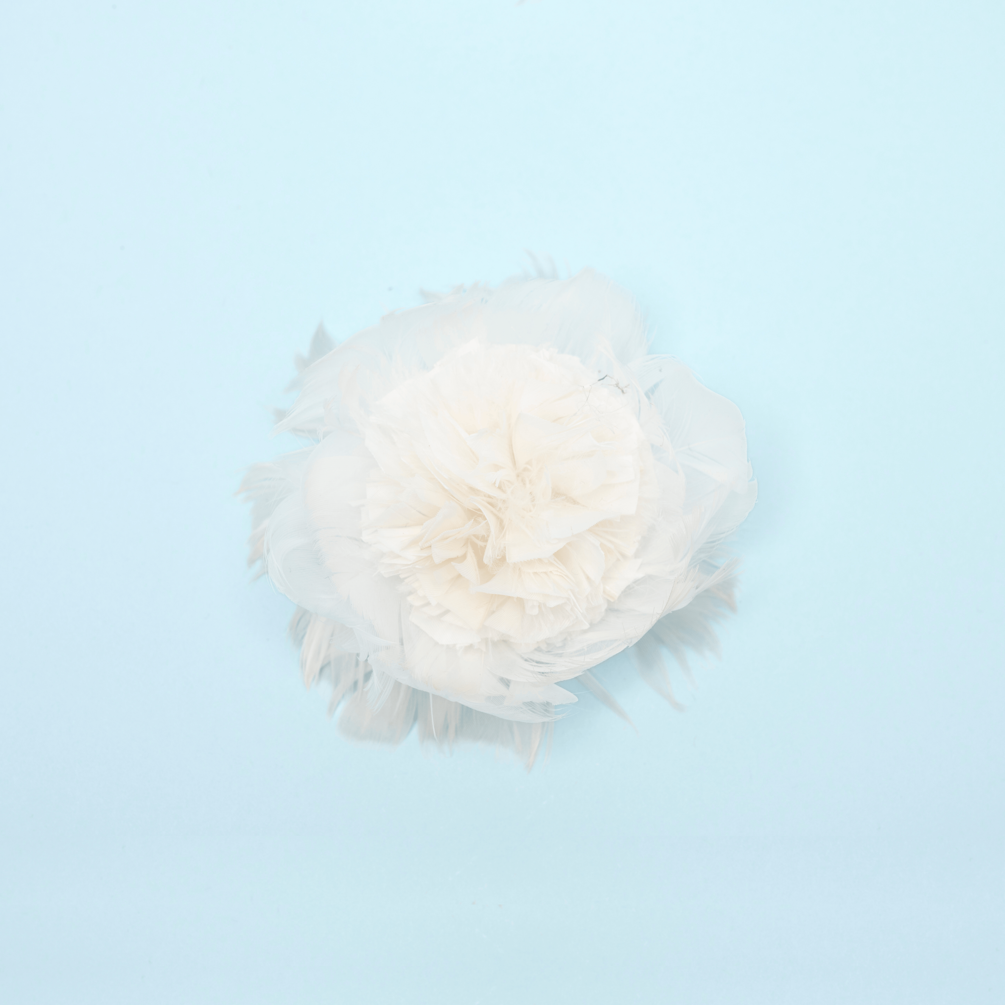 Cosima Floret
